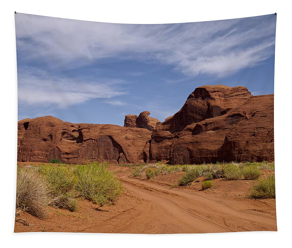 Monument Valley Tapestry featuring the photograph I Will Go Where The Road Leads Me by Lucinda Walter