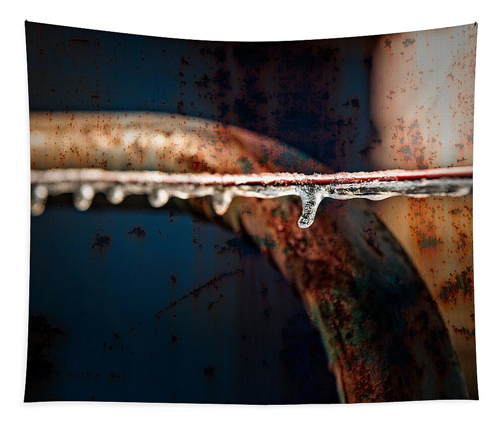 Adams Tapestry featuring the photograph Ice and Rust by Brett Engle