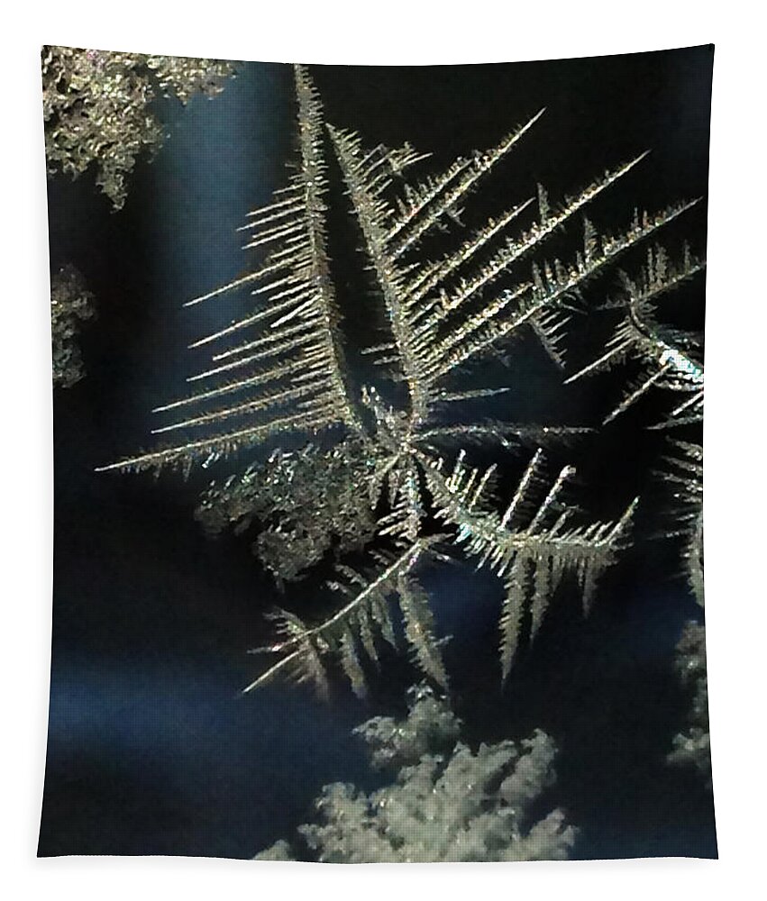 Ice Tapestry featuring the photograph Ice Crystals by Shane Bechler