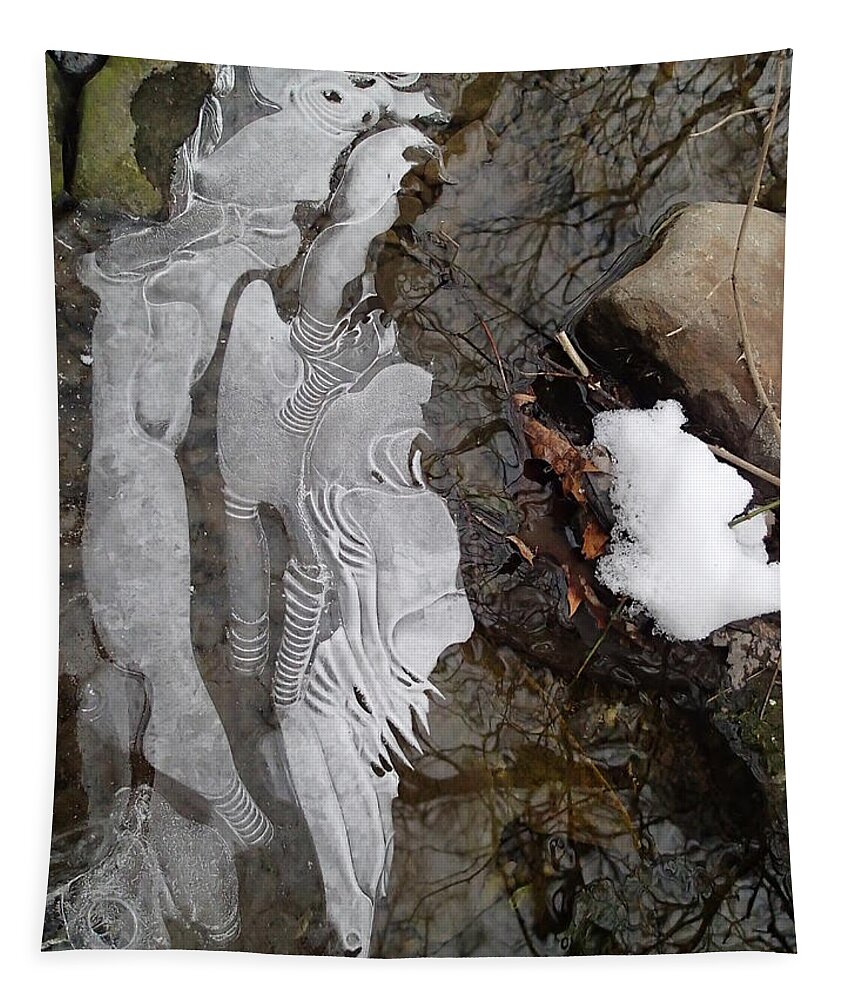 Winter Tapestry featuring the photograph Ice Flow by Robert Nickologianis