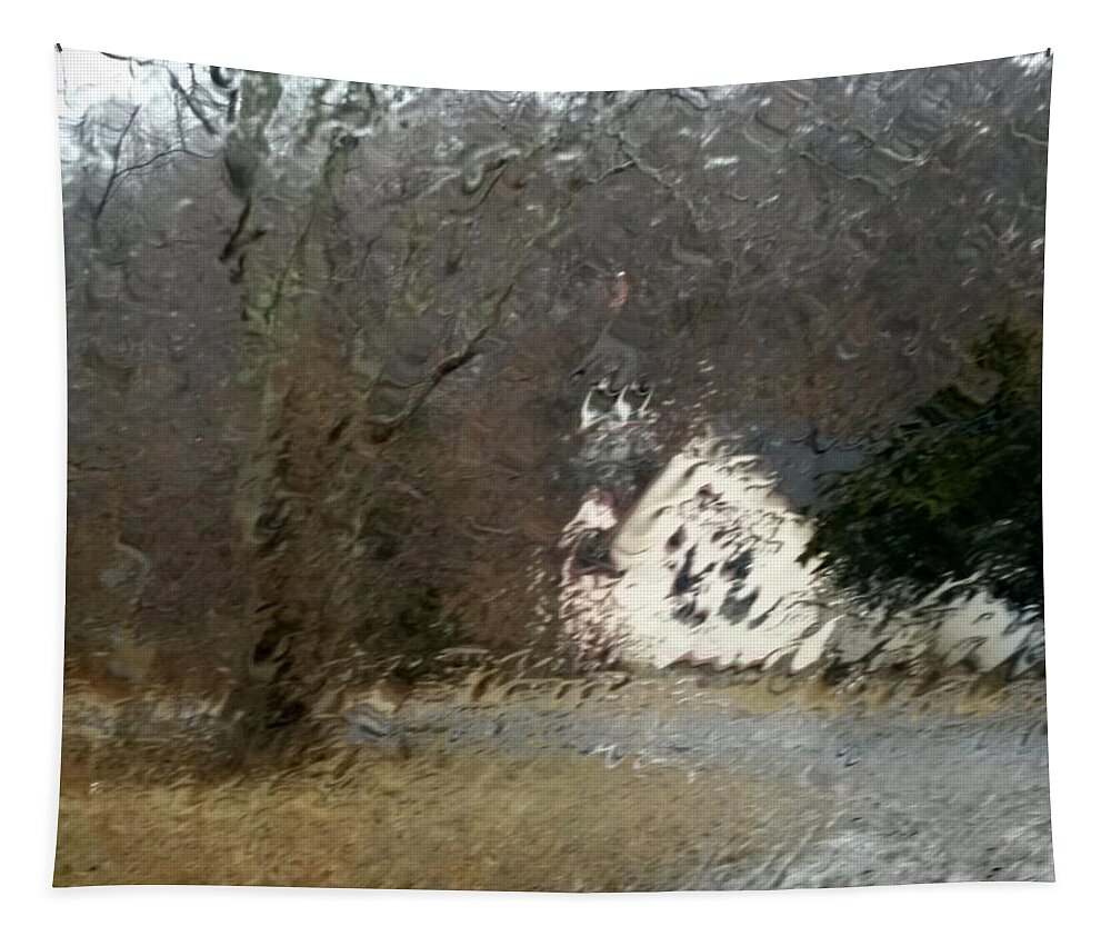 Landscape Tapestry featuring the photograph Ice Storm by Steven Huszar