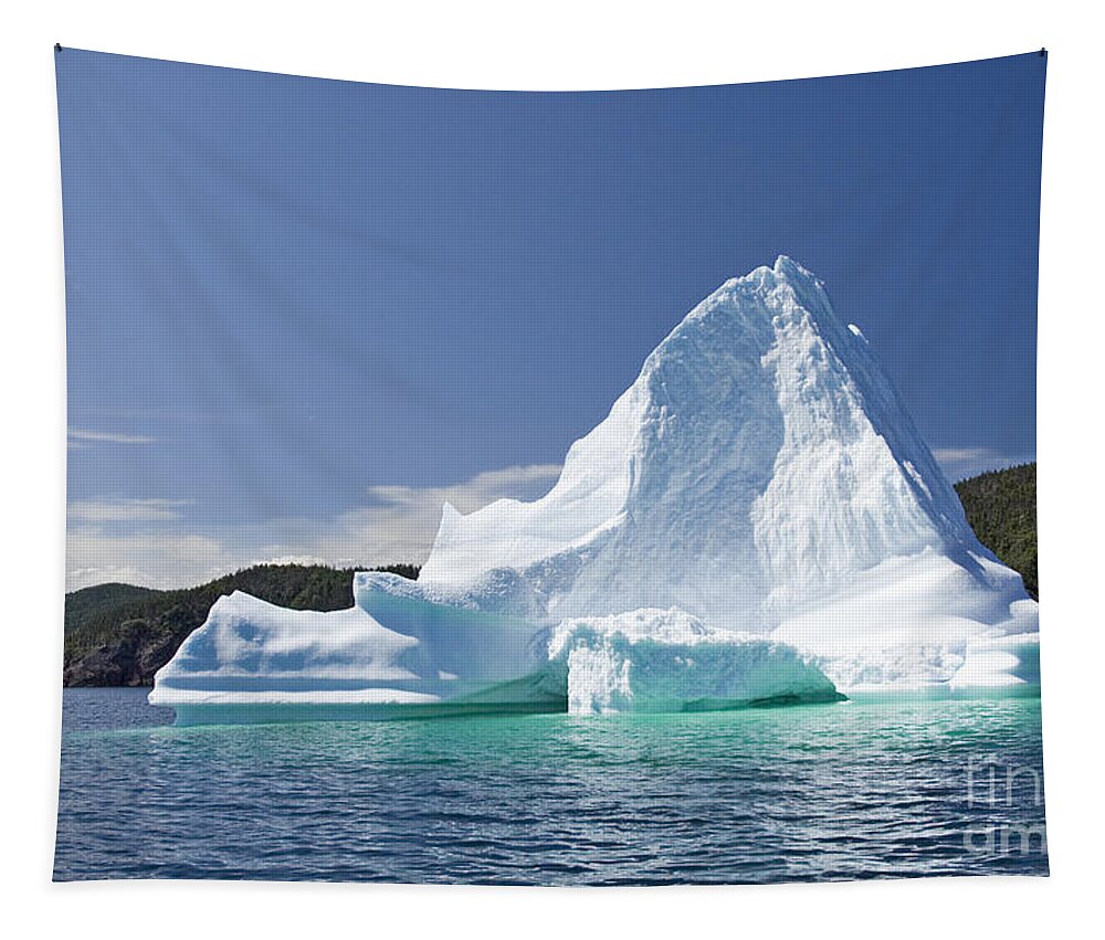Iceberg Tapestry featuring the photograph Iceberg Newfoundland Canada by Liz Leyden