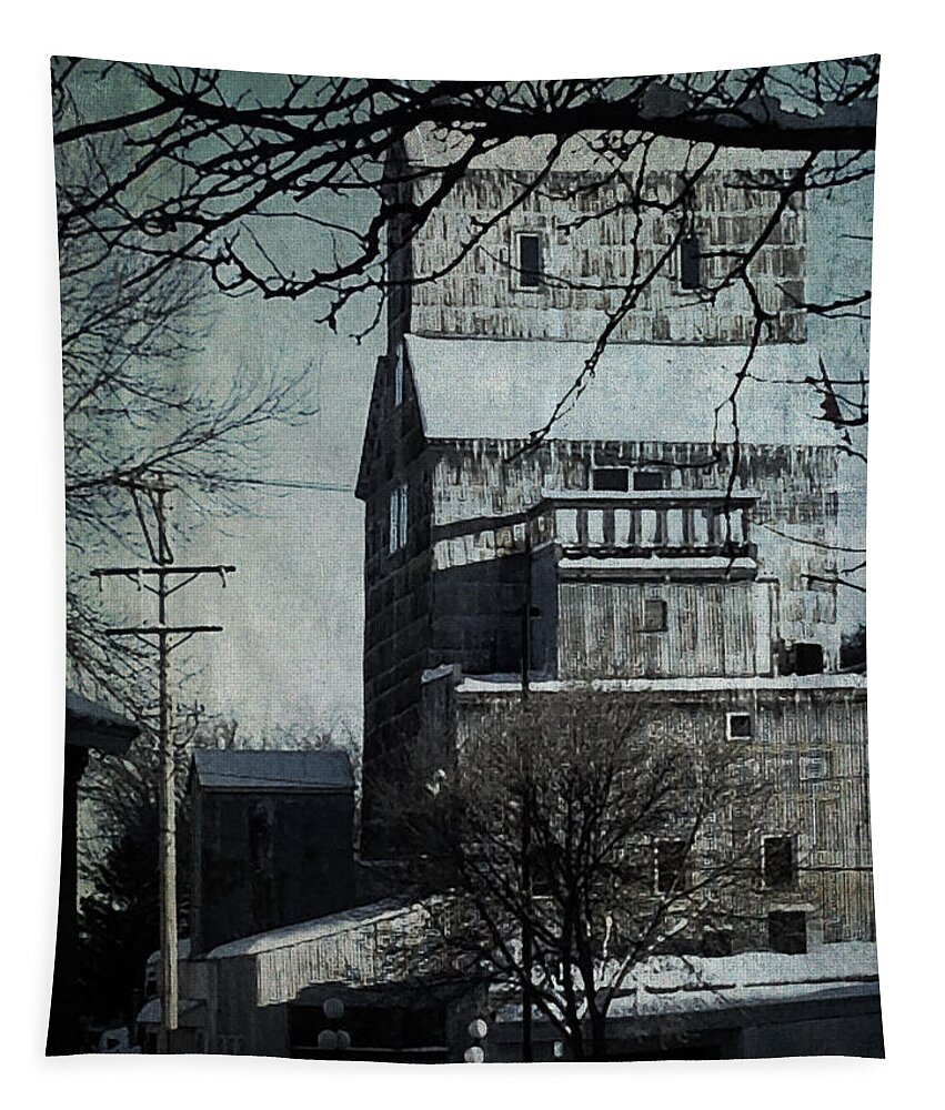 Coop Tapestry featuring the photograph Iced Co-op by Tim Nyberg