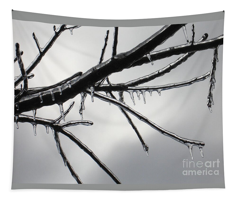 Winter Tapestry featuring the photograph Iced Tree by Ann Horn