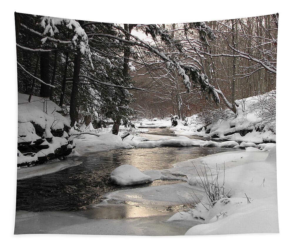 Ice Tapestry featuring the photograph Icy Brook by Gary Blackman