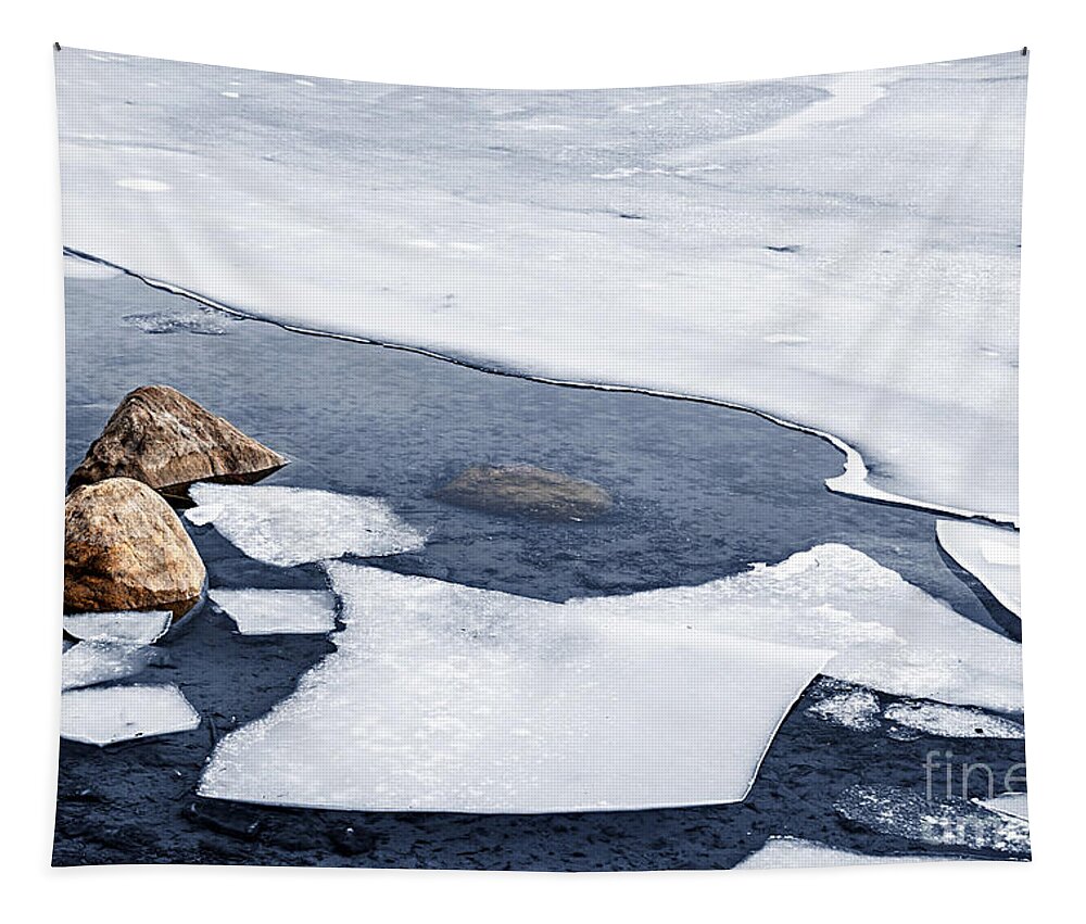 Ice Tapestry featuring the photograph Icy shore in winter 2 by Elena Elisseeva