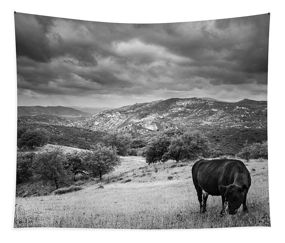 Animals Tapestry featuring the photograph Idyll with Cow by Alexander Kunz