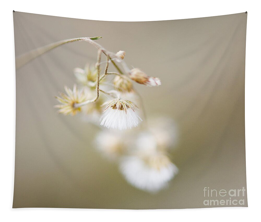 Nature Photo Tapestry featuring the photograph If only I am ..... by Ivy Ho