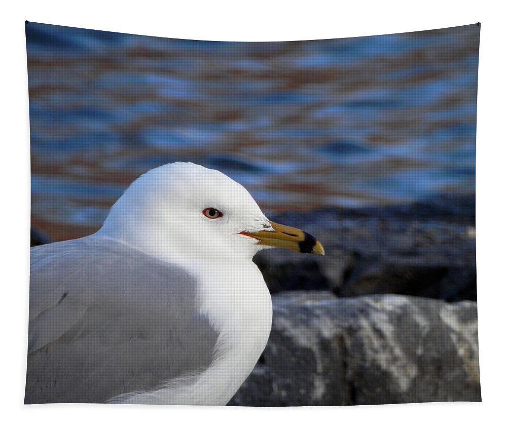 Gull Tapestry featuring the photograph If Only You Could See the World Through My Eyes by Zinvolle Art