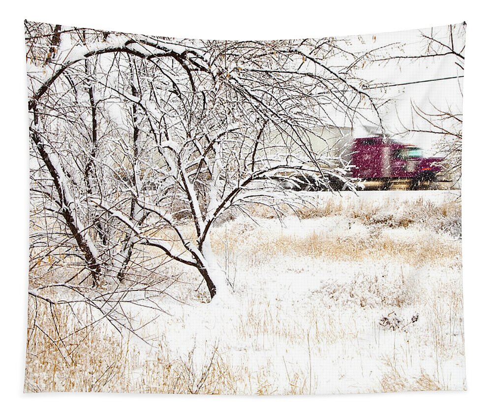 Canada Tapestry featuring the photograph I'll Be Home For Christmas by Theresa Tahara