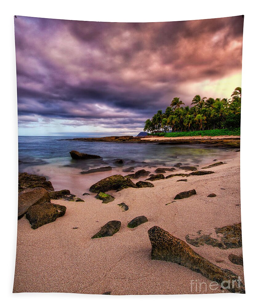  Tapestry featuring the photograph Iluminated Beach by Anthony Michael Bonafede