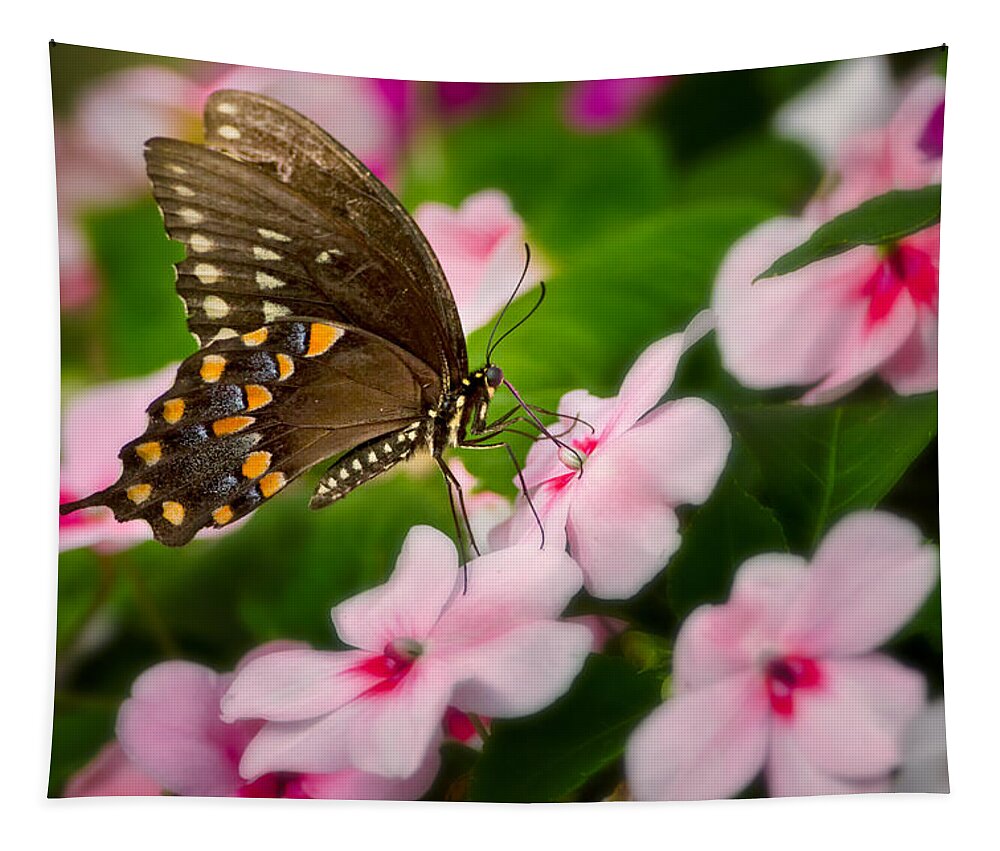 Butterfly Tapestry featuring the photograph Impatient Swallowtail by Bill Wakeley