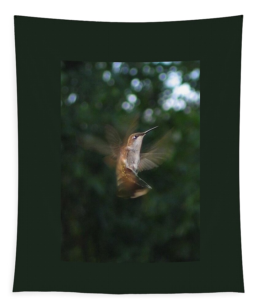 Bird Tapestry featuring the photograph In Flight by Photographic Arts And Design Studio