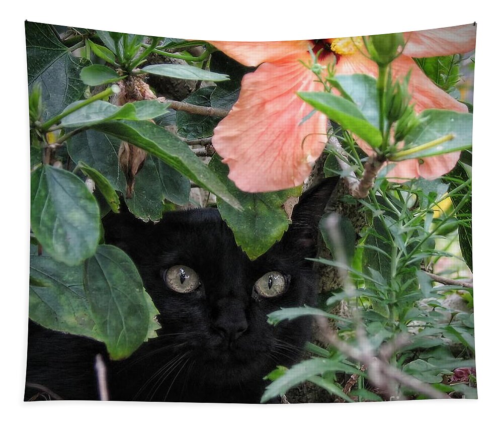 Black Tapestry featuring the photograph In His Jungle by Peggy Hughes