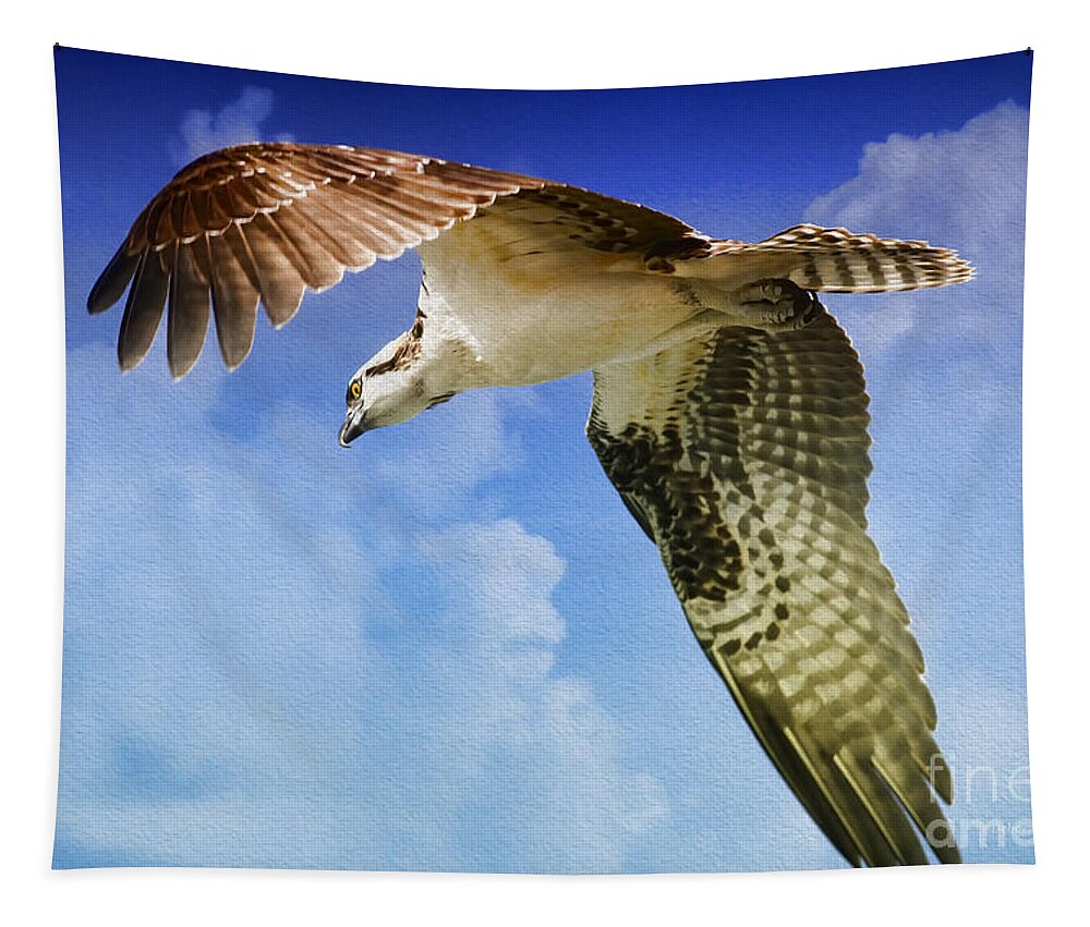 Osprey Tapestry featuring the photograph In Search Of by Deborah Benoit