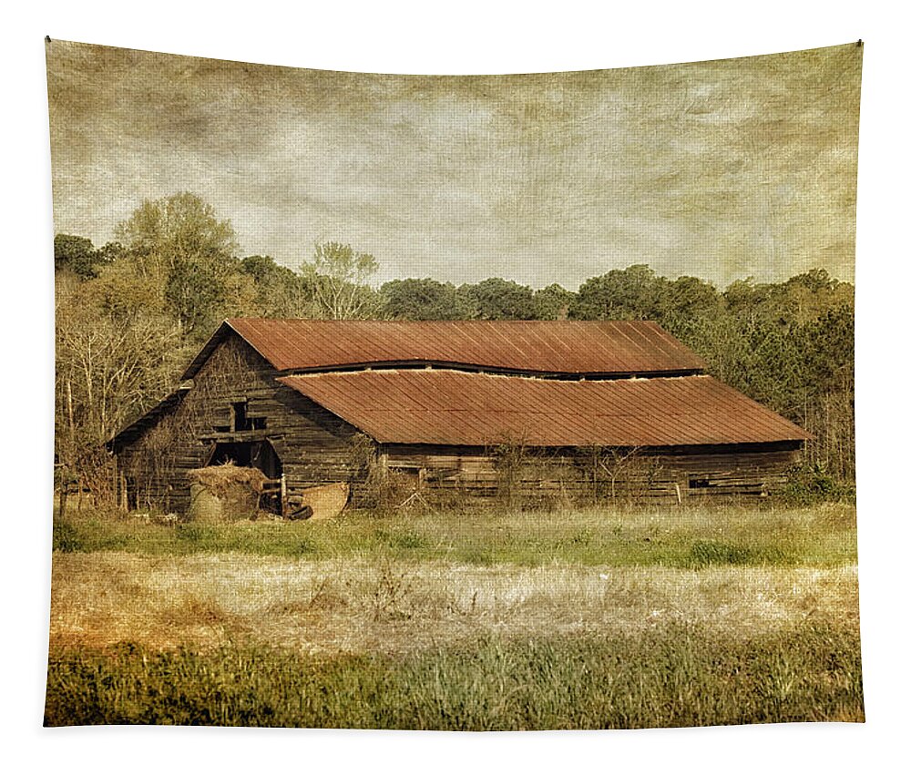 Barn Tapestry featuring the photograph In The Country by Kim Hojnacki