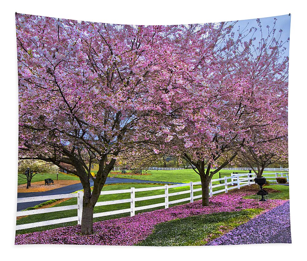 Andrews Tapestry featuring the photograph In The Pink by Debra and Dave Vanderlaan