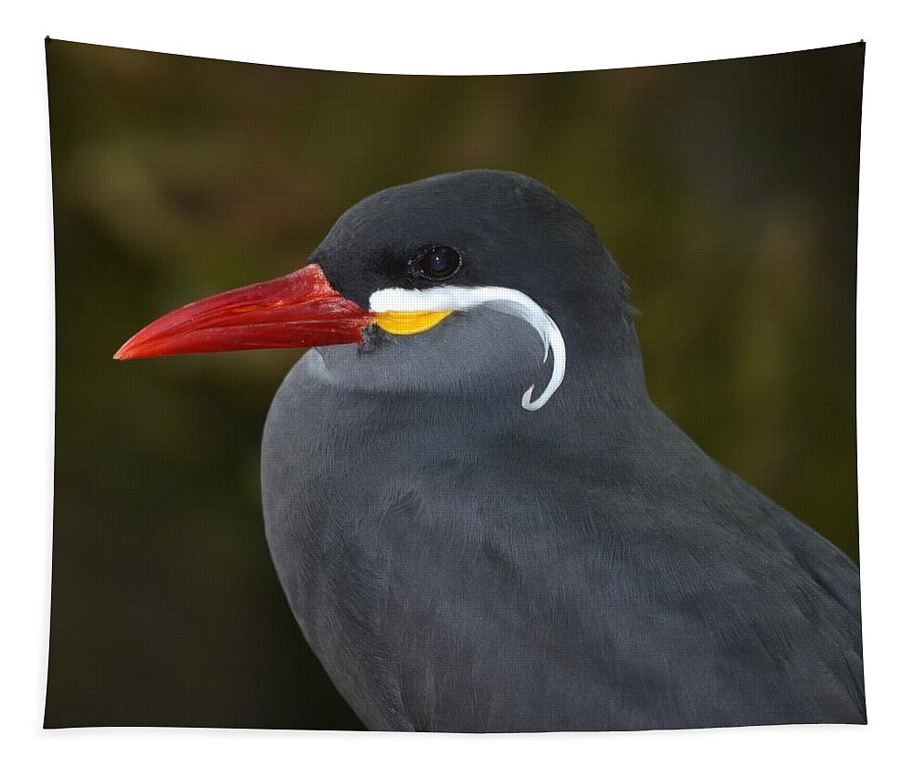 Bird Tapestry featuring the photograph Inca Tern by Richard Bryce and Family