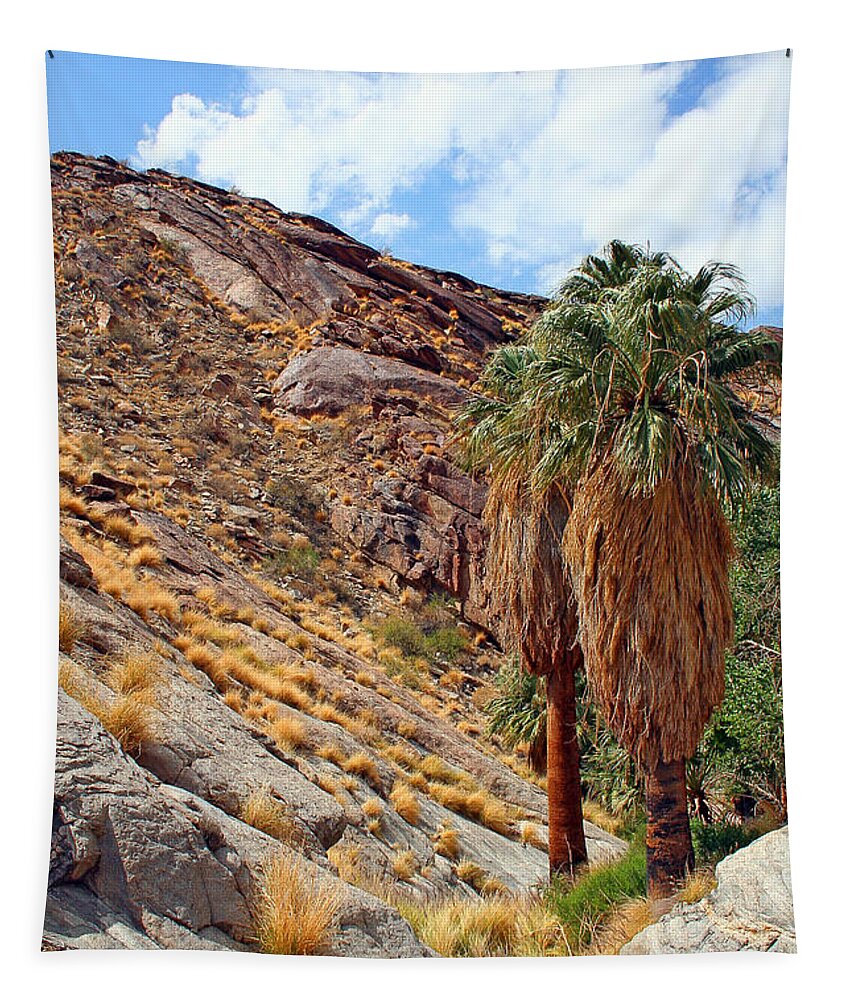 Landscape Tapestry featuring the photograph Indian Canyons View With Two Palms by Ben and Raisa Gertsberg