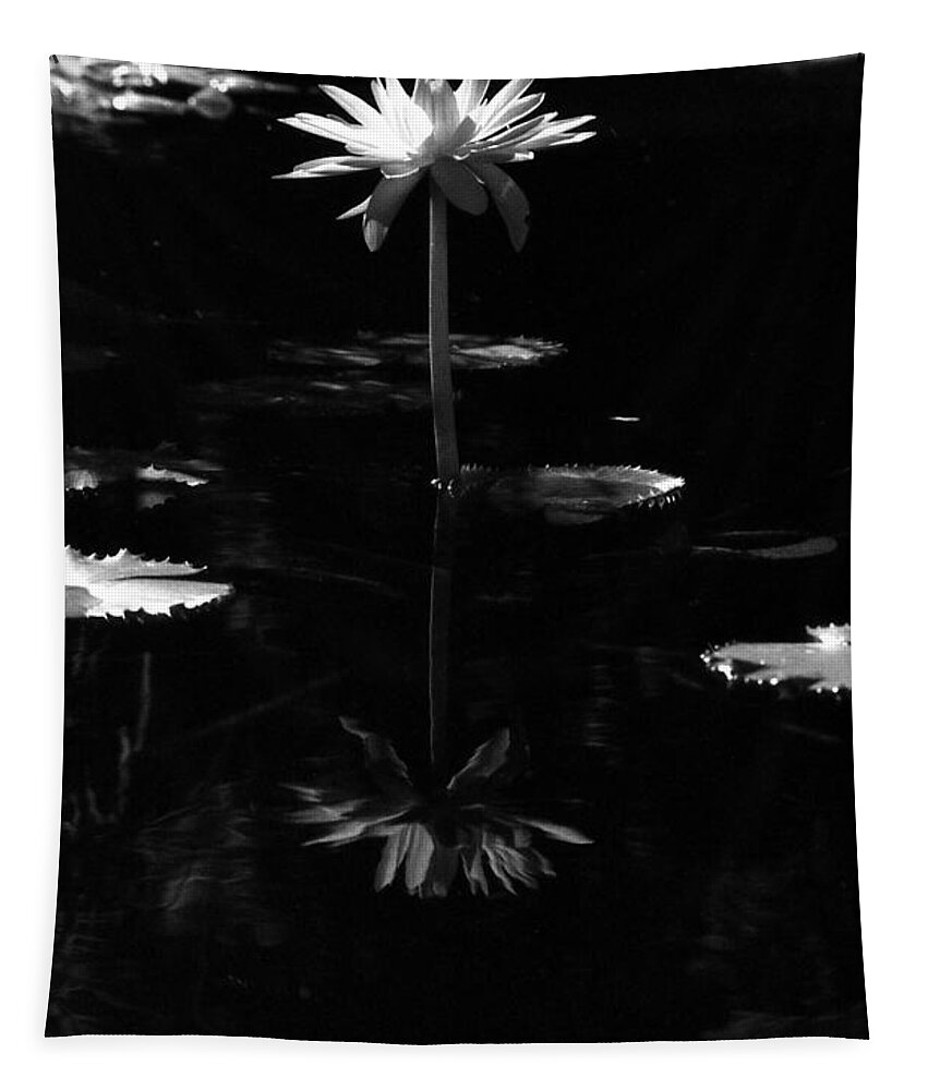 Water Lily Tapestry featuring the photograph Infrared - Water Lily 03 by Pamela Critchlow
