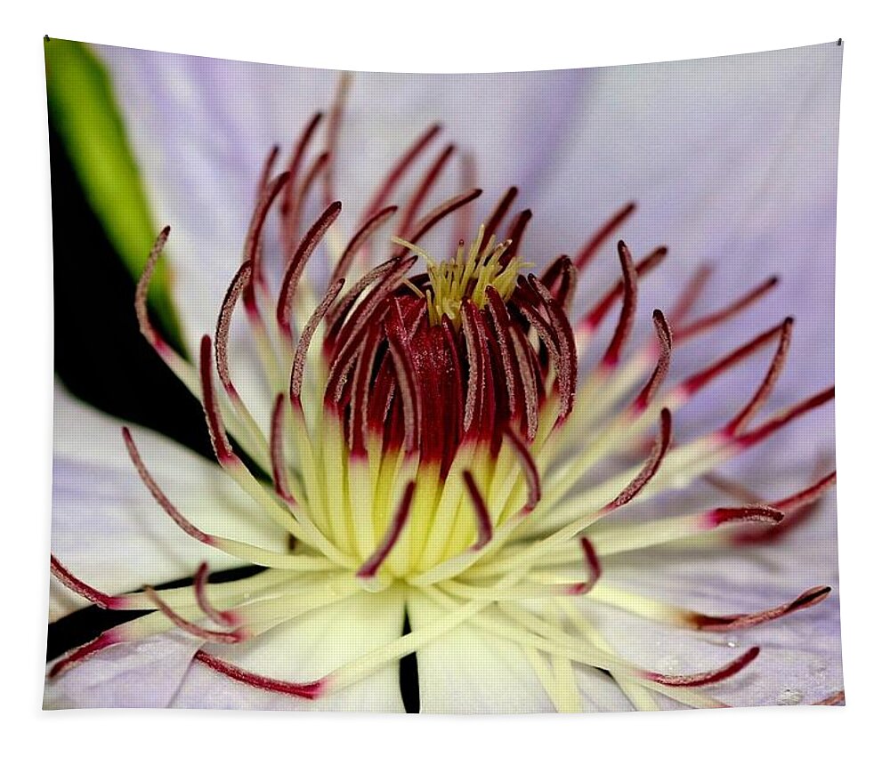 Flower Tapestry featuring the photograph Inside a Clematis by Karen Silvestri