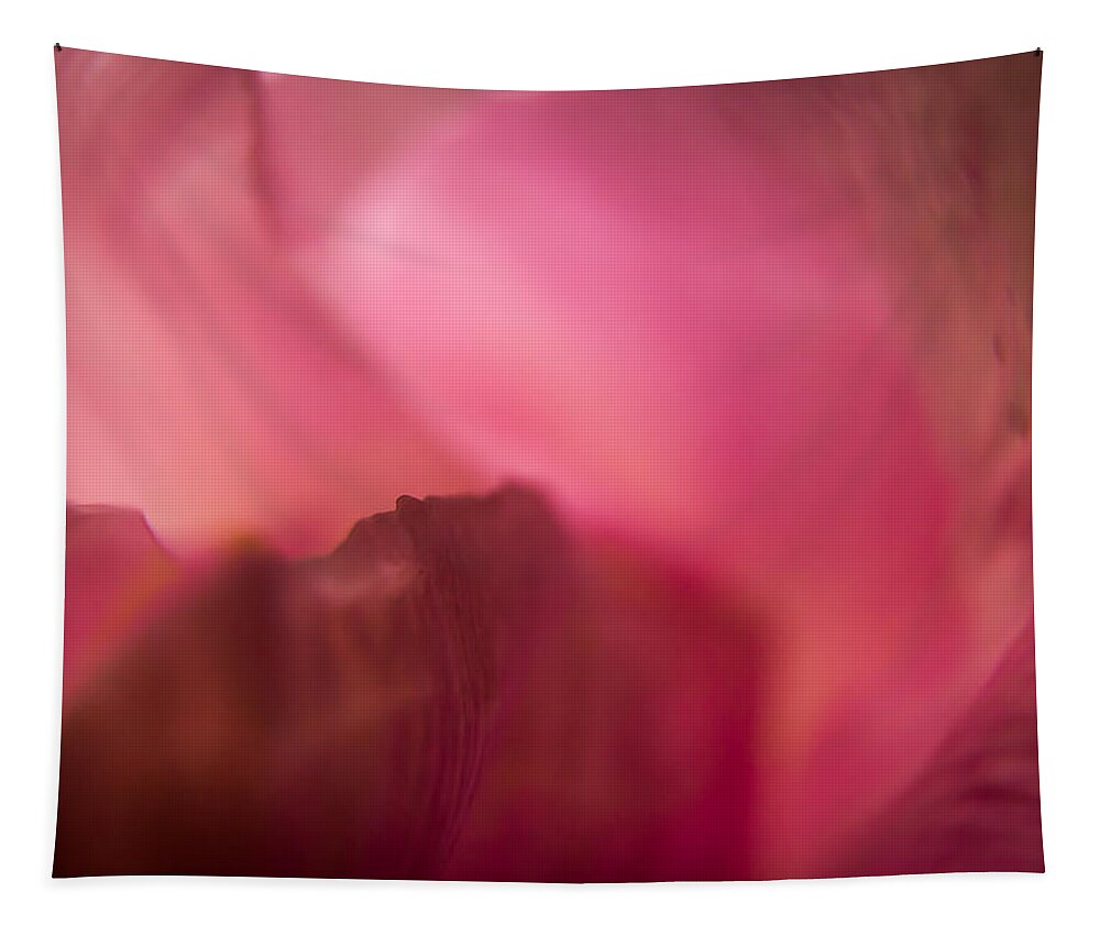 Jay Stockhaus Tapestry featuring the photograph Inside the Flower by Jay Stockhaus