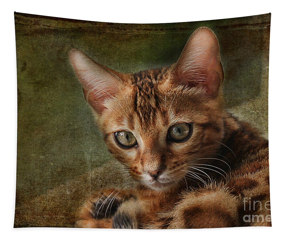 Animal Tapestry featuring the photograph Introducing Leo by Teresa Zieba