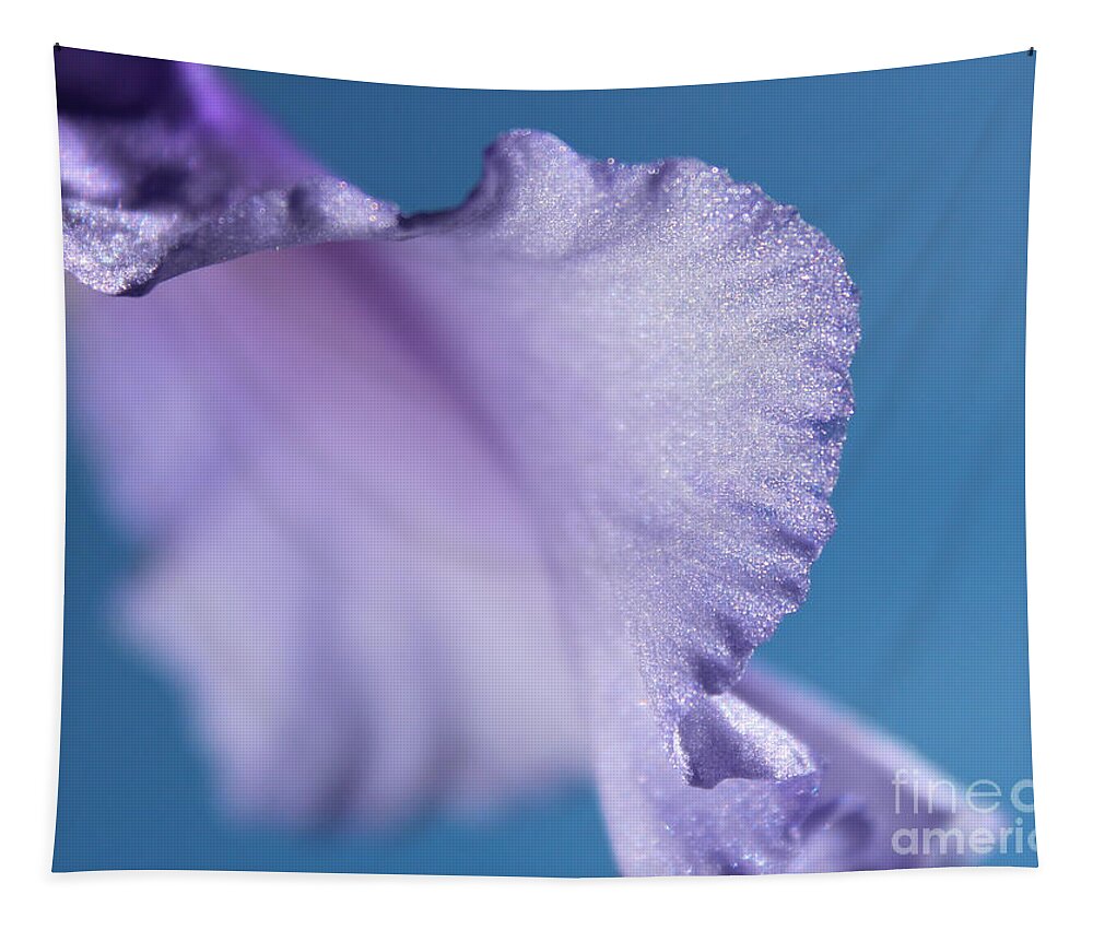 Iris Tapestry featuring the photograph Intuition by Stacey Zimmerman