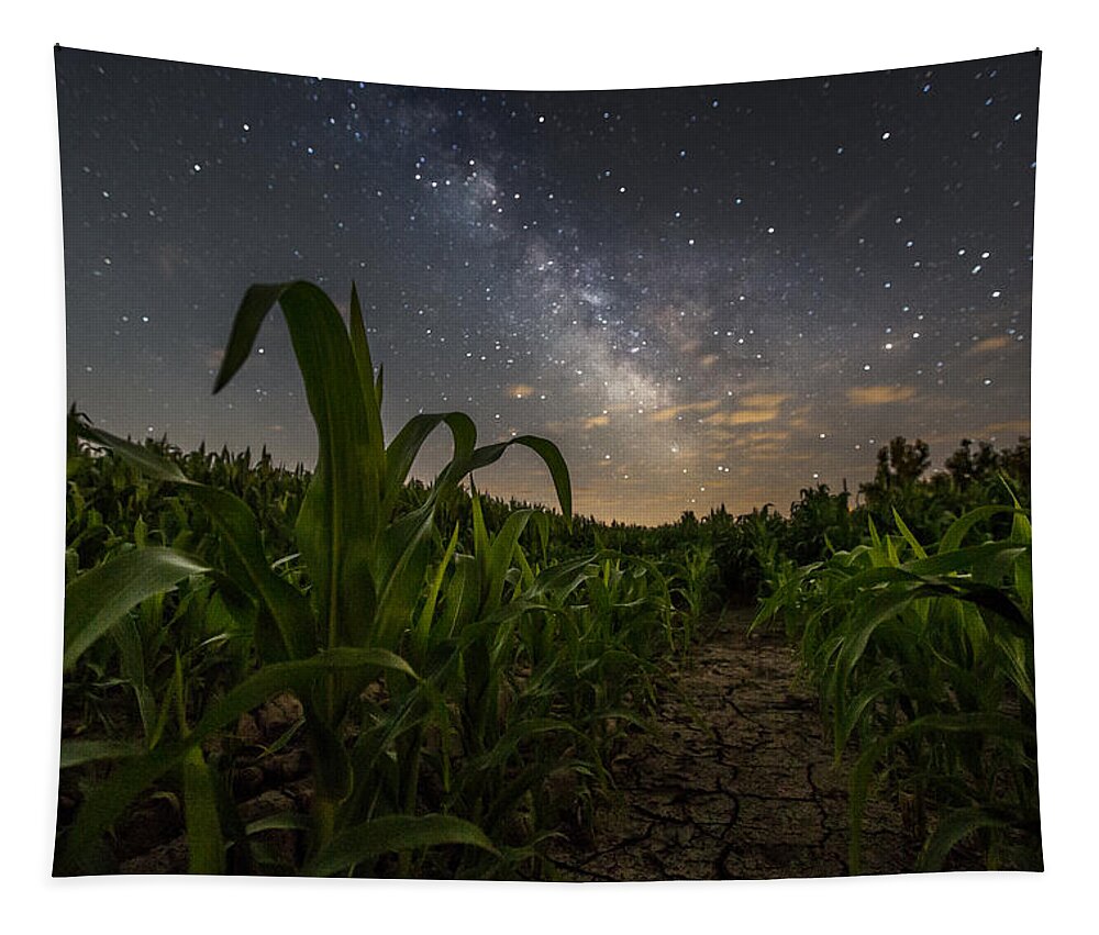 Iowa Tapestry featuring the photograph Iowa Corn by Aaron J Groen