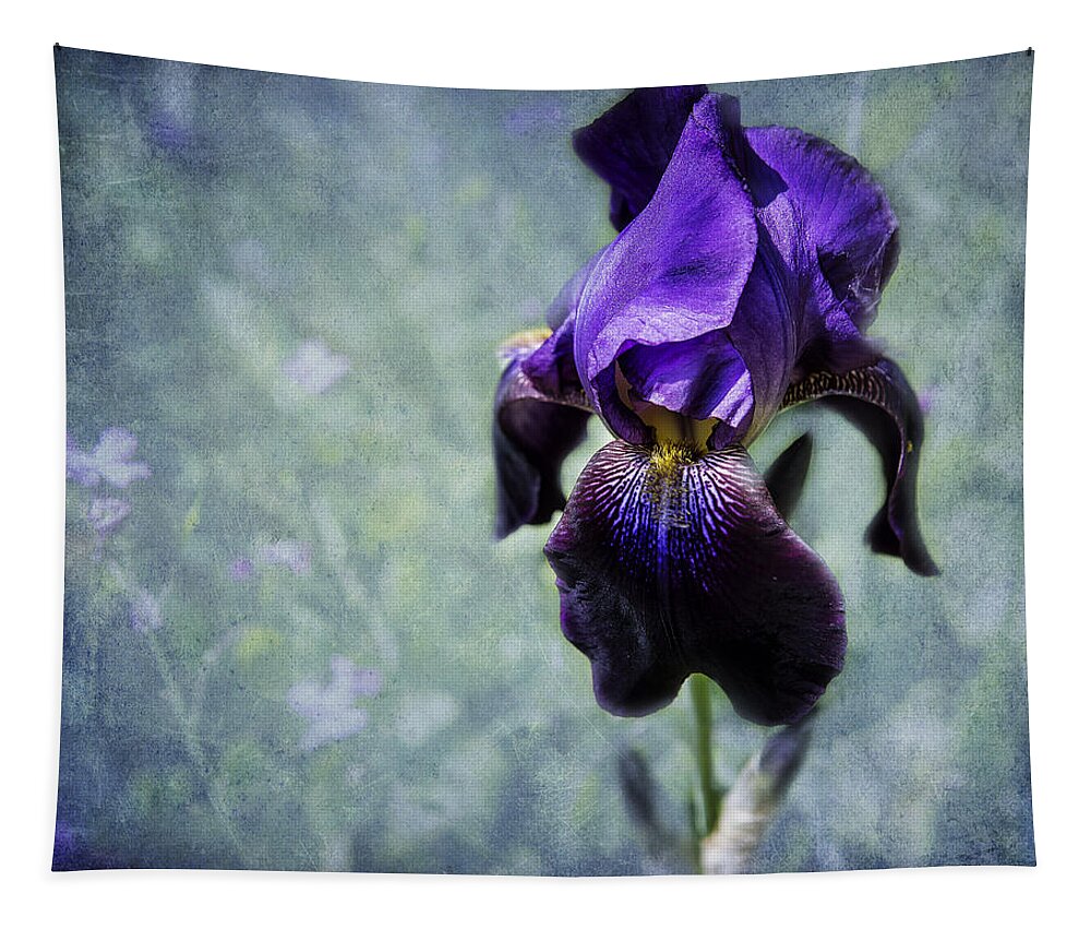 Iris Tapestry featuring the photograph Iris - Purple and Blue - Flowers by Belinda Greb