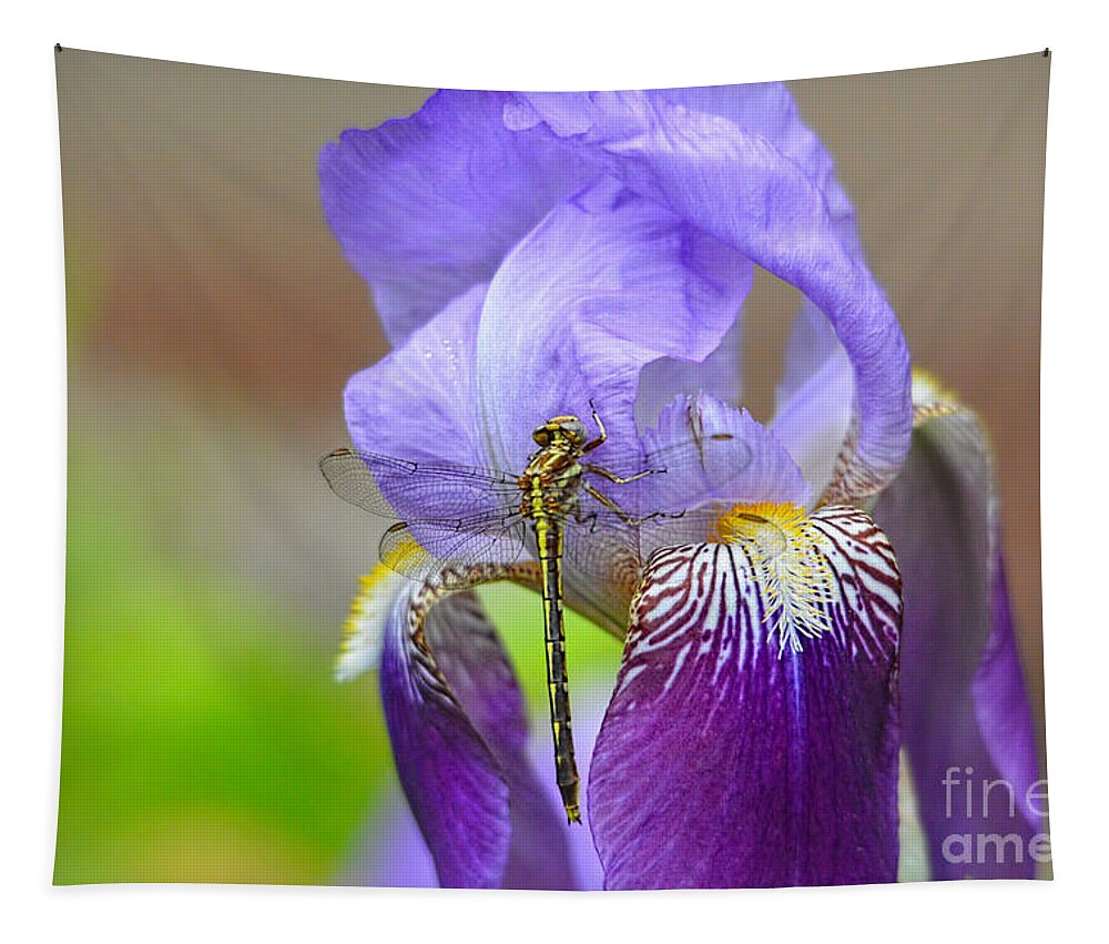 Iris Germanica Tapestry featuring the photograph Iris and the Dragonfly 4 by Jai Johnson