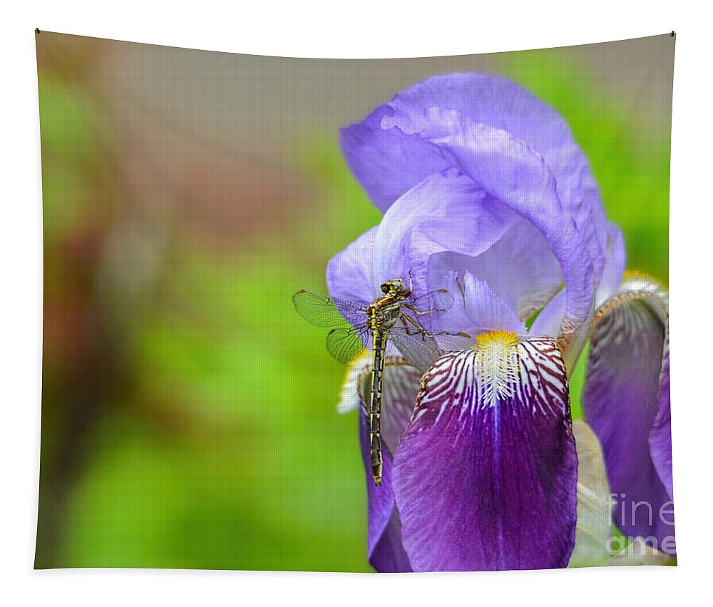 Iris Germanica Tapestry featuring the photograph Iris and the Dragonfly 5 by Jai Johnson