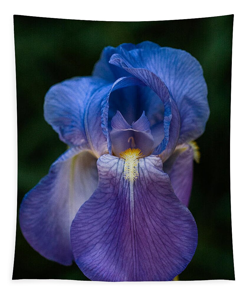 Iris Tapestry featuring the photograph Iris by George Buxbaum
