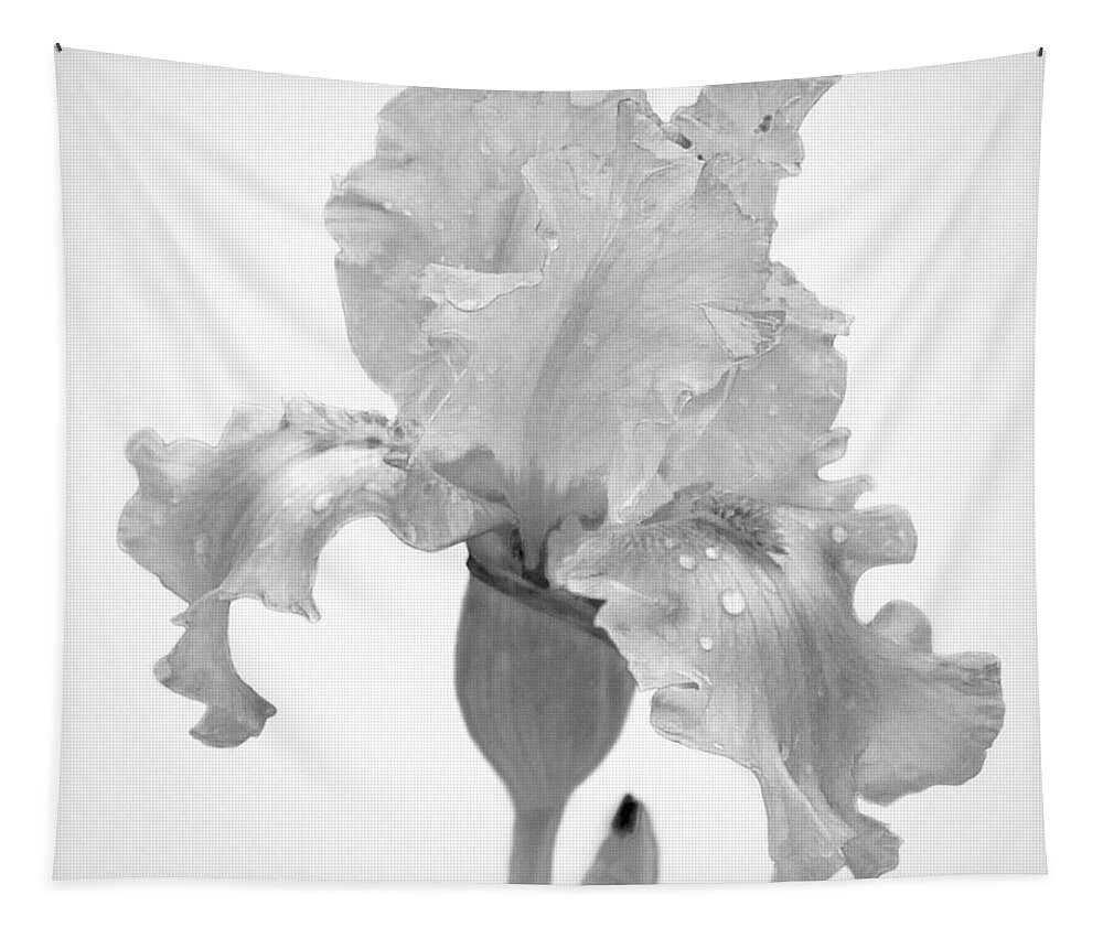 Black And White Tapestry featuring the photograph Iris in the Rain by David and Carol Kelly