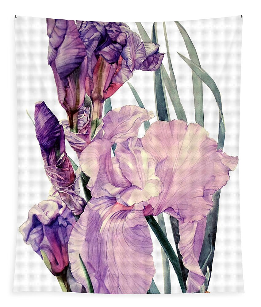 Watercolor Tapestry featuring the painting Watercolor of an elegant Tall Bearded Iris in pink and purple I call Iris Joan Sutherland by Greta Corens