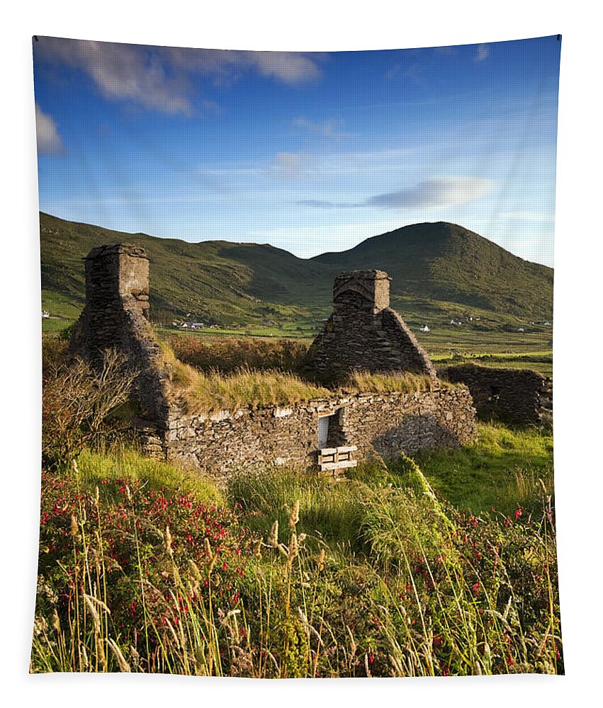 Ireland Tapestry featuring the photograph Irish Cottage by David Lichtneker