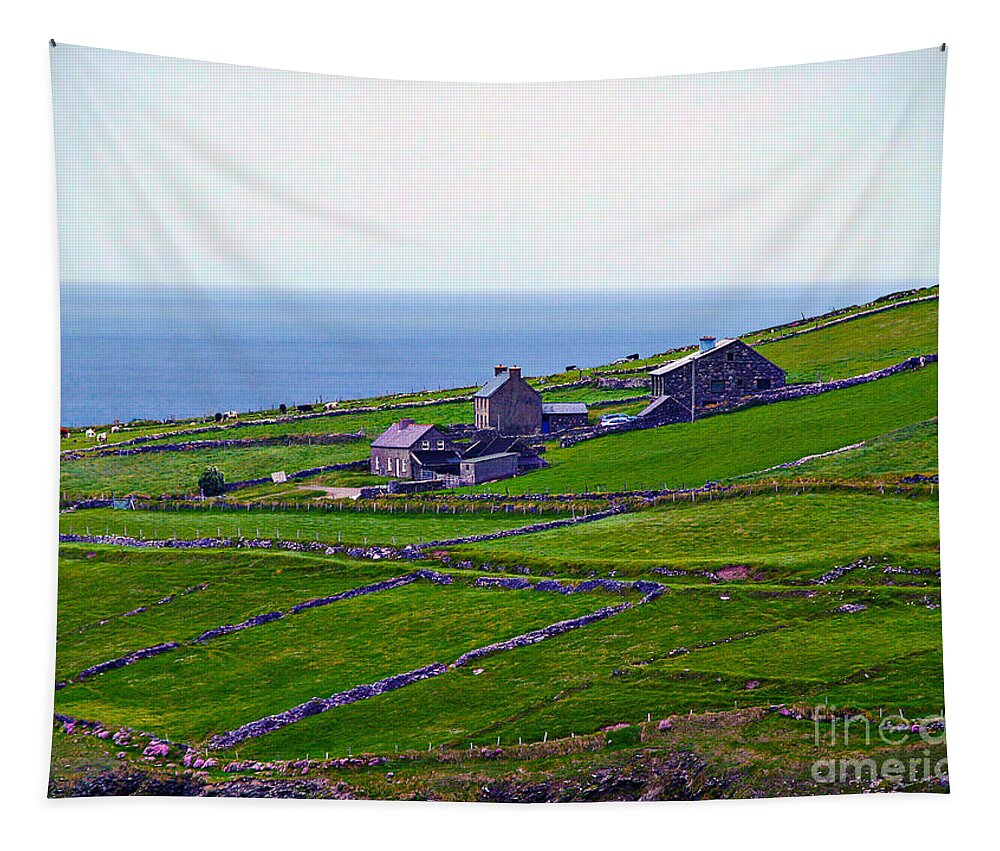 Fine Art Photography Tapestry featuring the photograph Irish Farm 1 by Patricia Griffin Brett