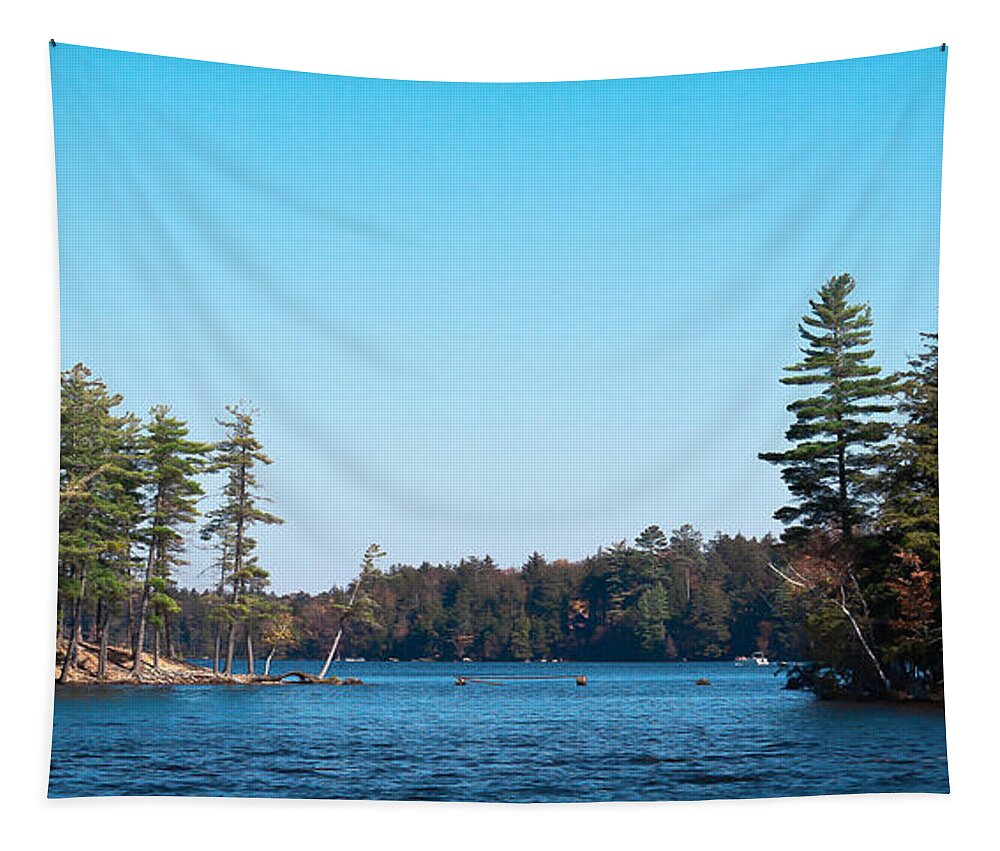 Adirondack's Tapestry featuring the photograph Island on the Fulton Chain of Lakes by David Patterson