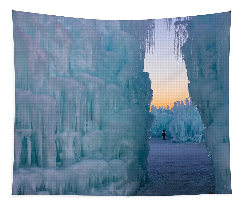 Ice Tapestry featuring the photograph Isolation by Christie Kowalski