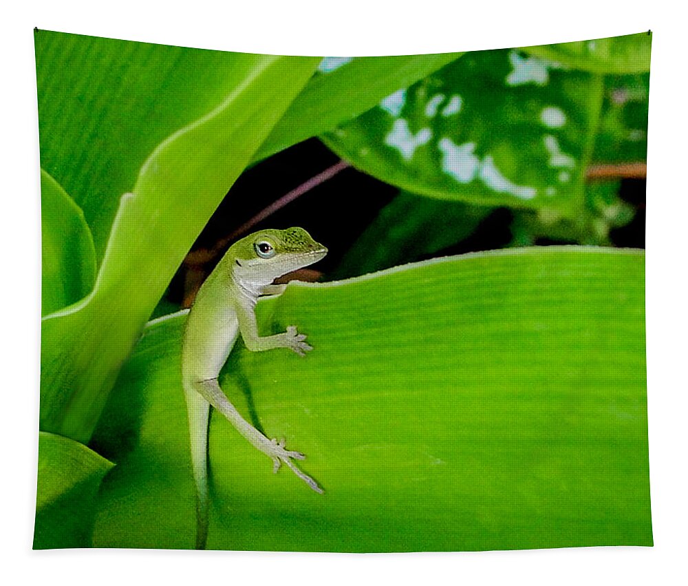 Lizard Tapestry featuring the photograph It's Easy Being Green Squared by TK Goforth