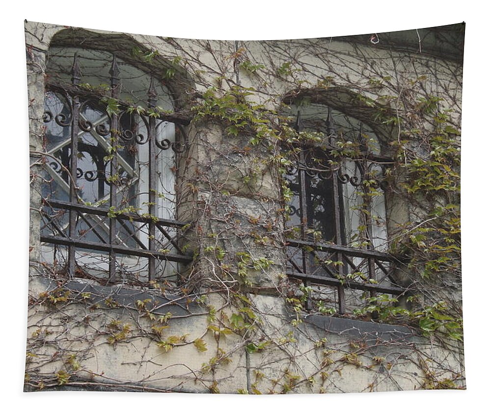 Horizontal Tapestry featuring the photograph Ivy Covered Mausoleum Windows by Valerie Collins