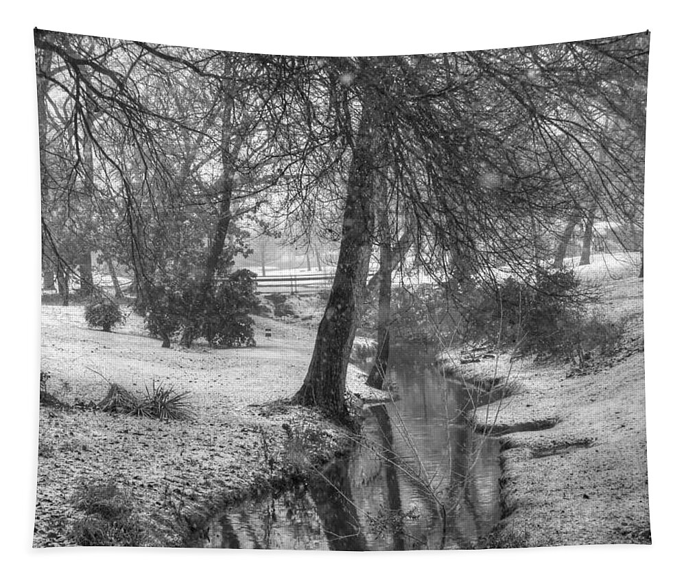 Winter Tapestry featuring the photograph Jack Frost Bites by Bill Hamilton