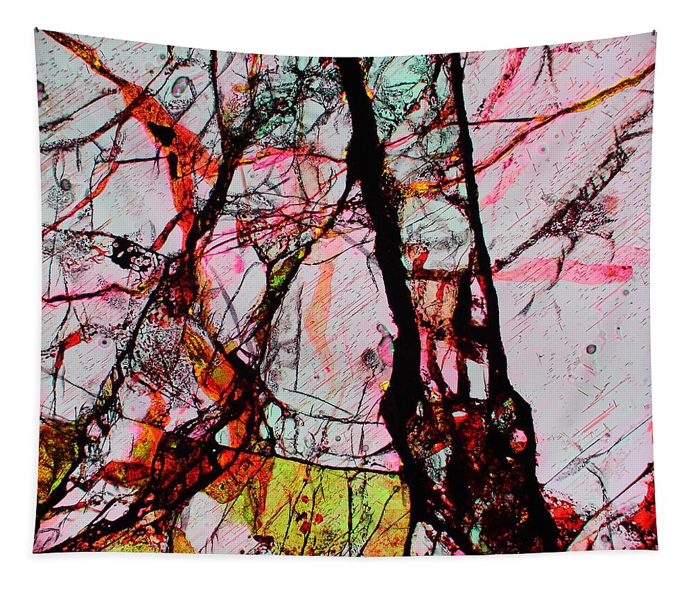 Meteorites Tapestry featuring the photograph Jacob's Ladder by Hodges Jeffery