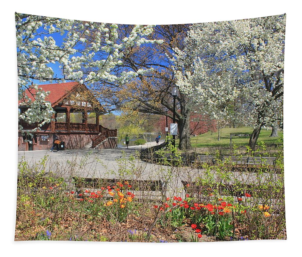 Boston Tapestry featuring the photograph Jamaica Pond Boston in Spring by John Burk