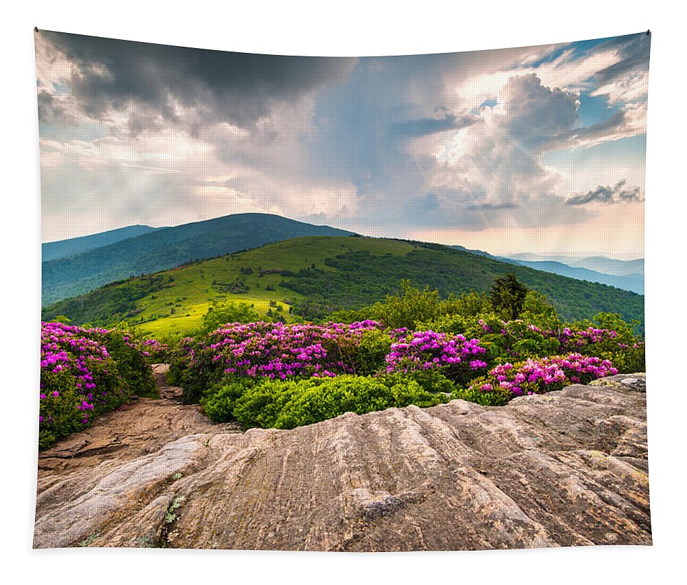Roan Mountain Tapestry featuring the photograph North Carolina Blue Ridge Mountains Landscape Jane Bald Appalachian Trail by Dave Allen