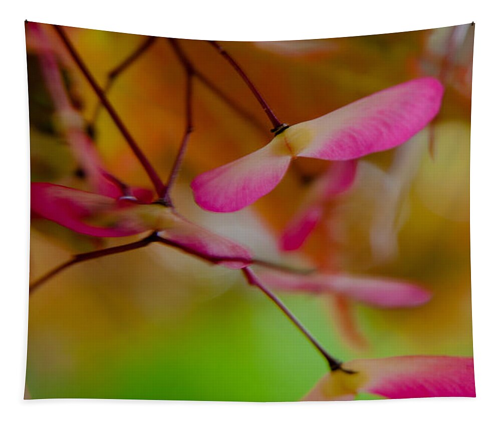 Japanese Maple Tapestry featuring the photograph Japanese Maple Seedling by Brenda Jacobs