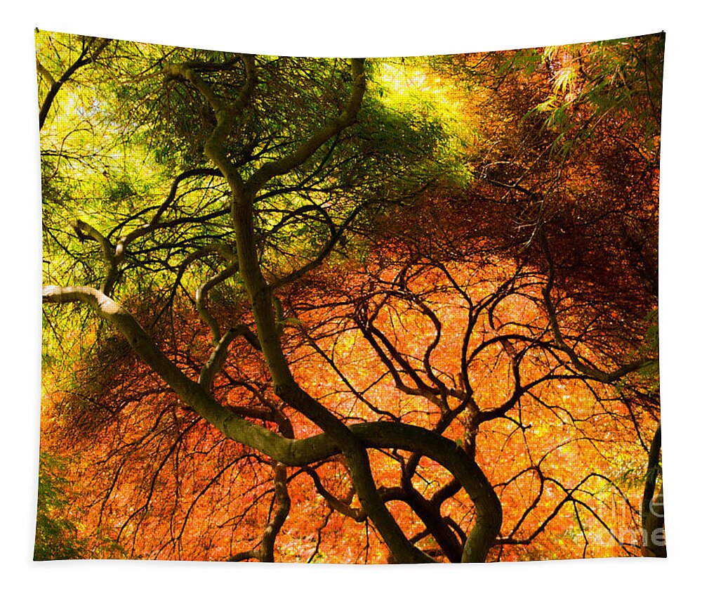 Japanese Tapestry featuring the photograph Japanese Maples by Angela DeFrias