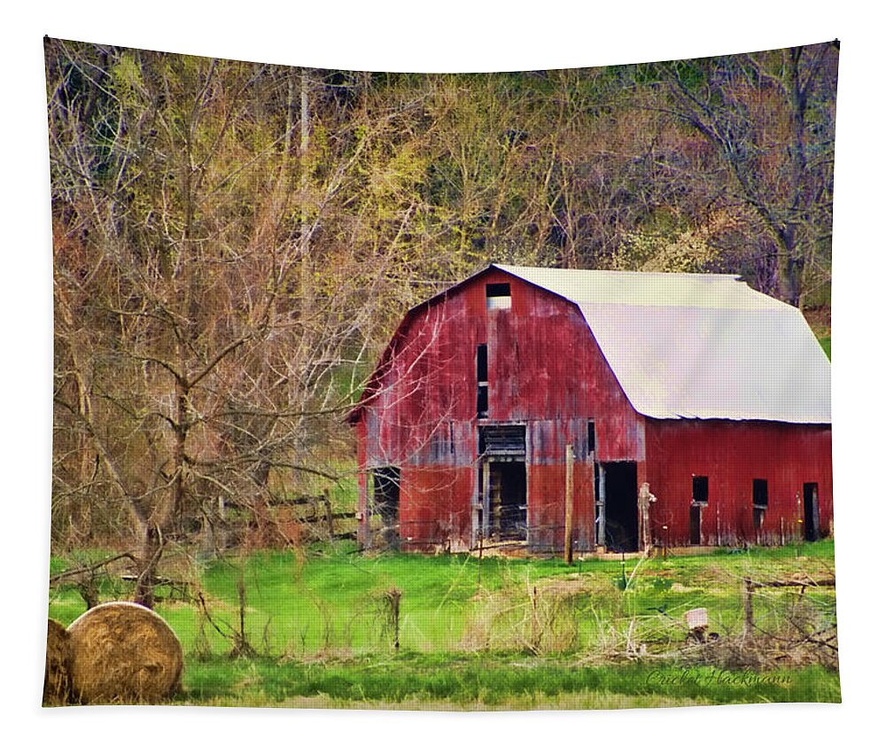 Barn Tapestry featuring the photograph Jemerson Creek Barn by Cricket Hackmann