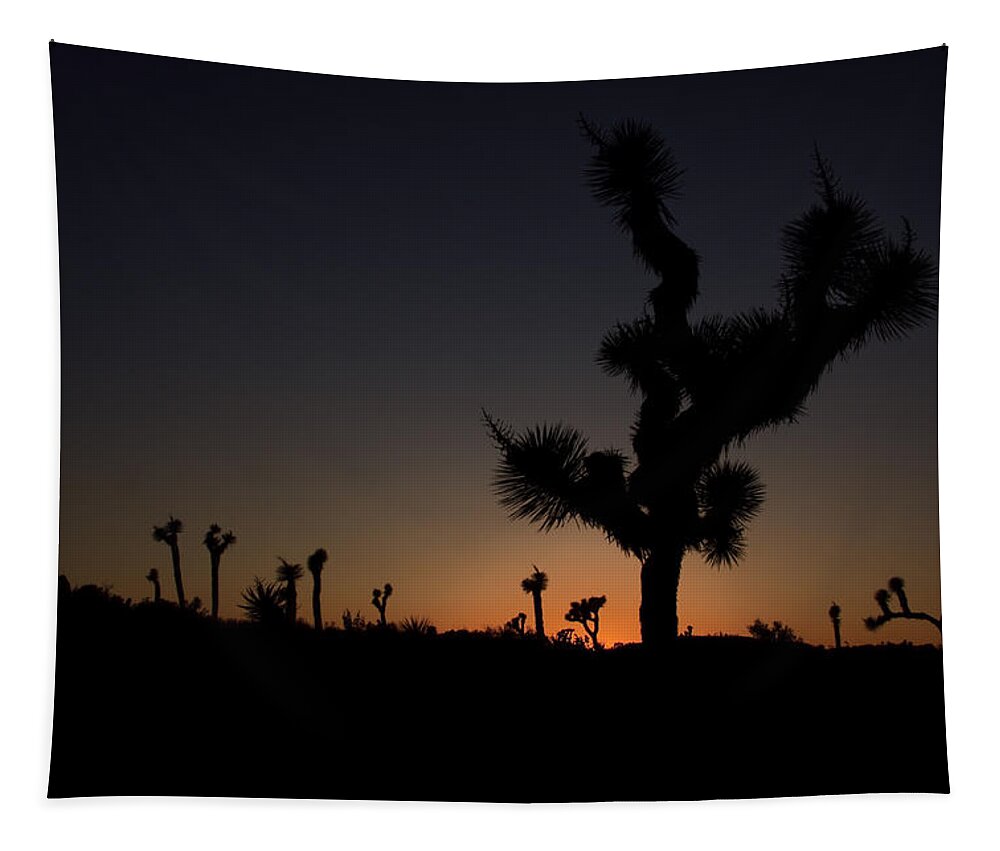 America Tapestry featuring the photograph Joshua Tree in silhouette by Sue Leonard