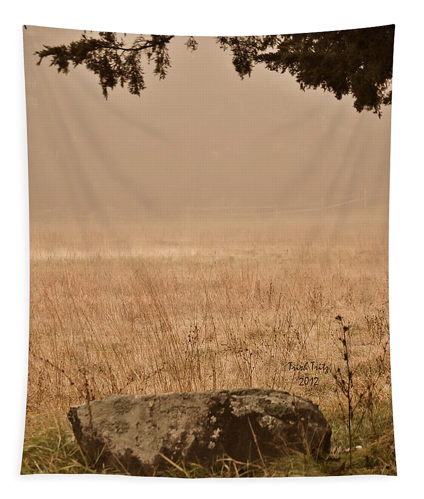 Green Lane Tapestry featuring the photograph Just A Rock by Trish Tritz